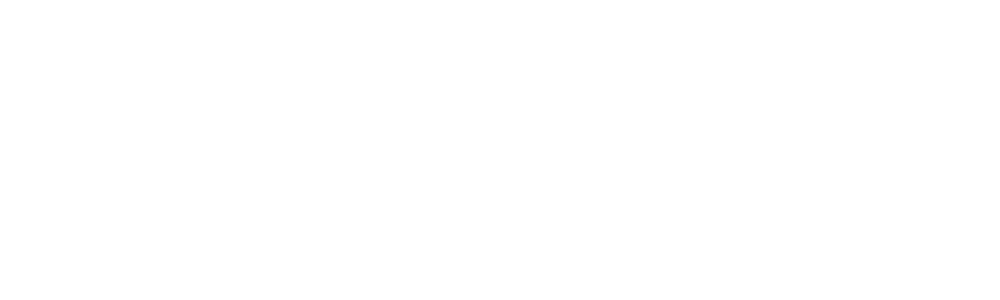 MailWizard - Logo (Light) (Transparent Background) (2).png